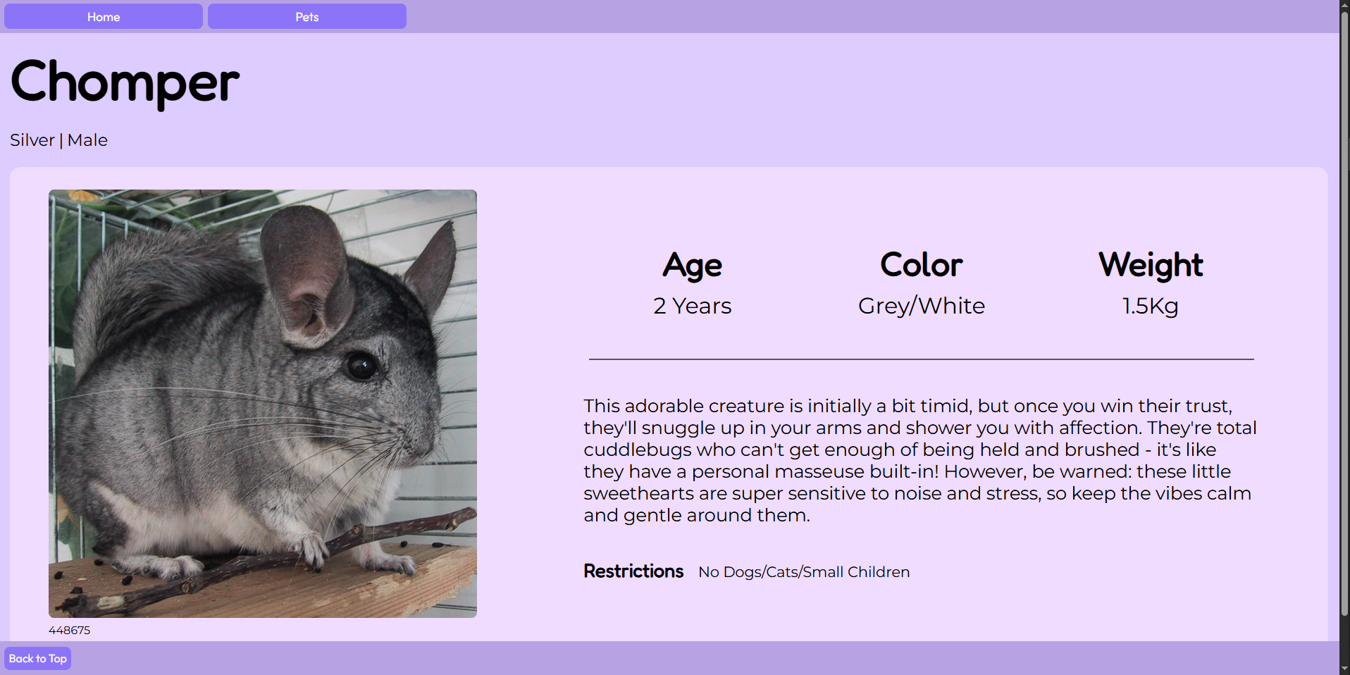 An image showcasing the Pet Adoption Services single pet page design